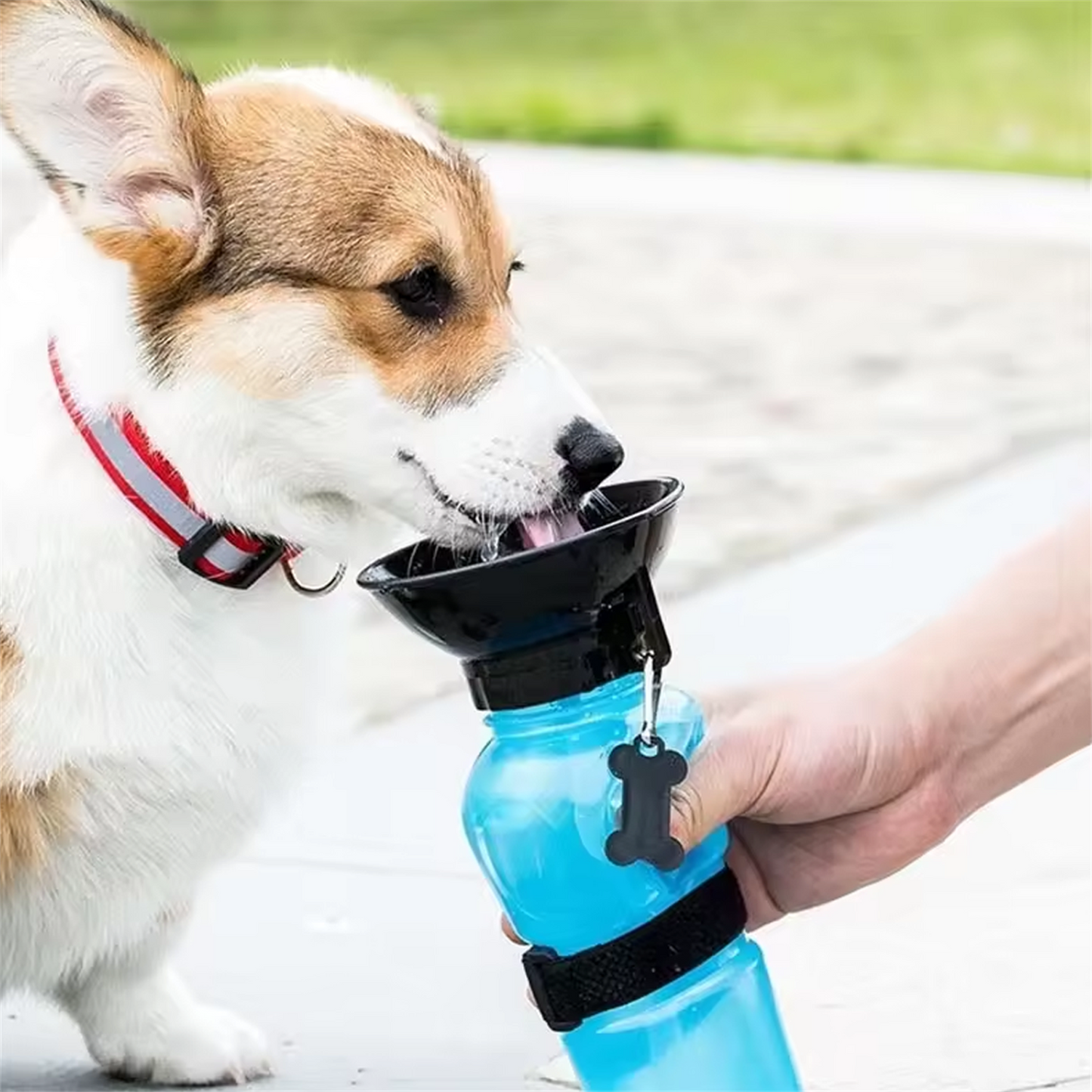 Bebedero de agua portatil para mascota