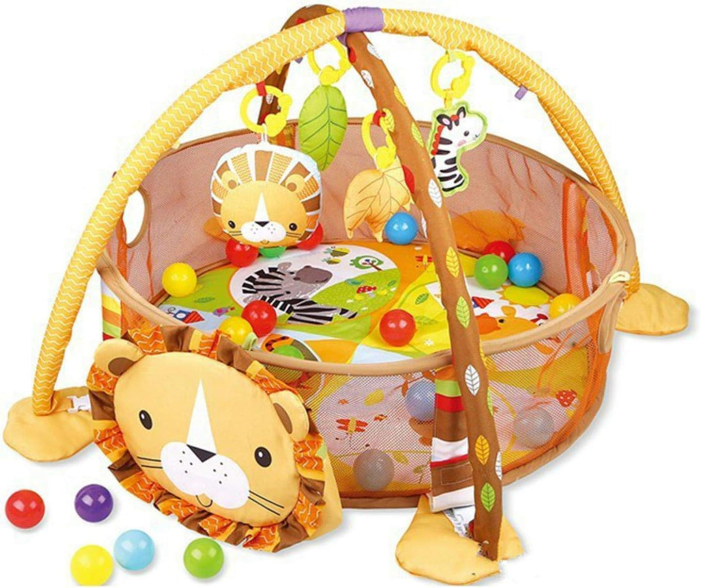 GIMNASIO CORRAL DE PELOTAS