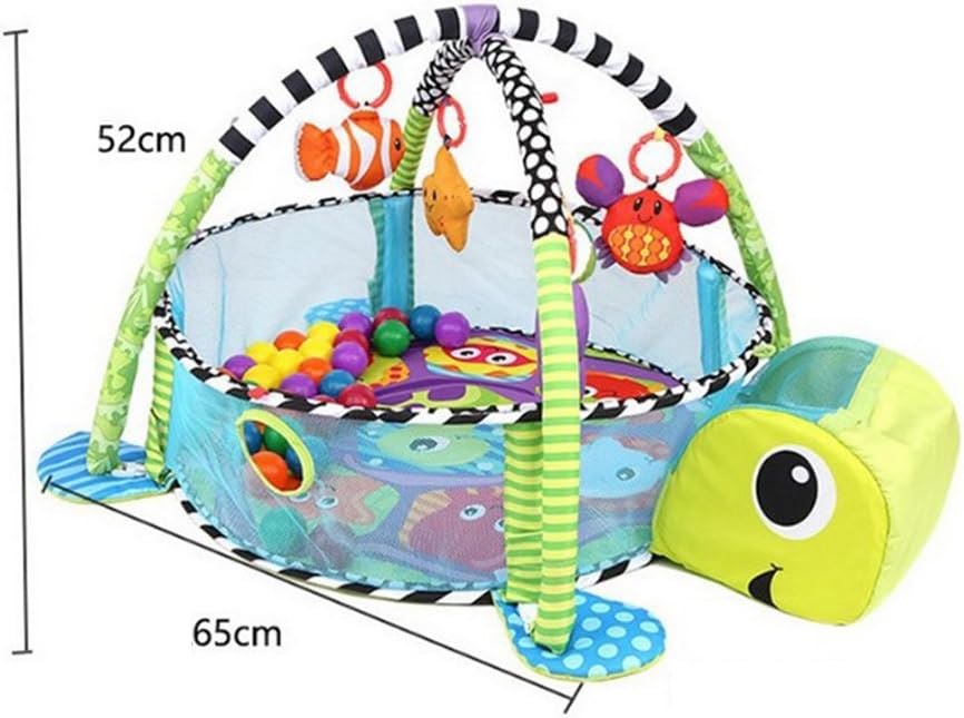 GIMNASIO CORRAL DE PELOTAS