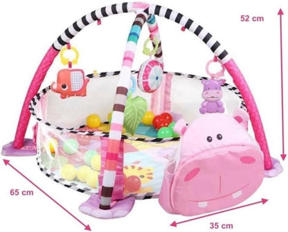 GIMNASIO CORRAL DE PELOTAS