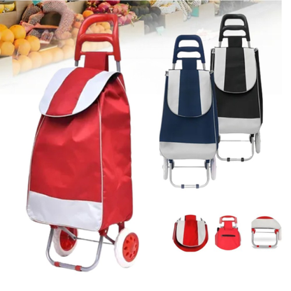 Carrito de Compras Plegable con Ruedas