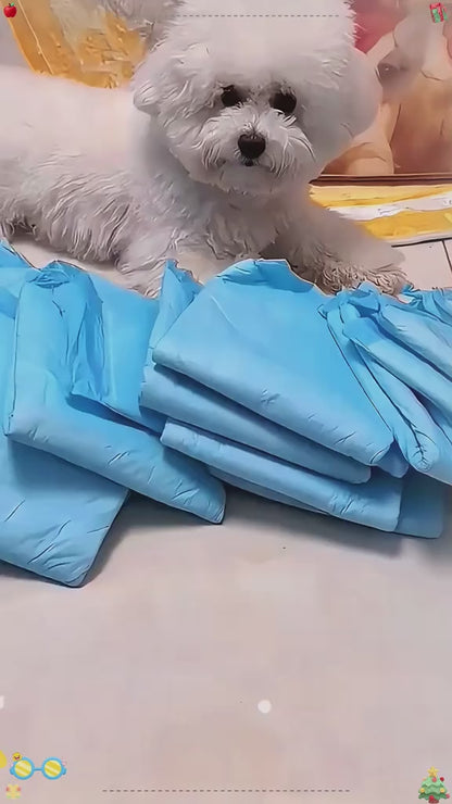 Tapete Entrenador para Perro – Absorbente, Higiénico y Antifugas