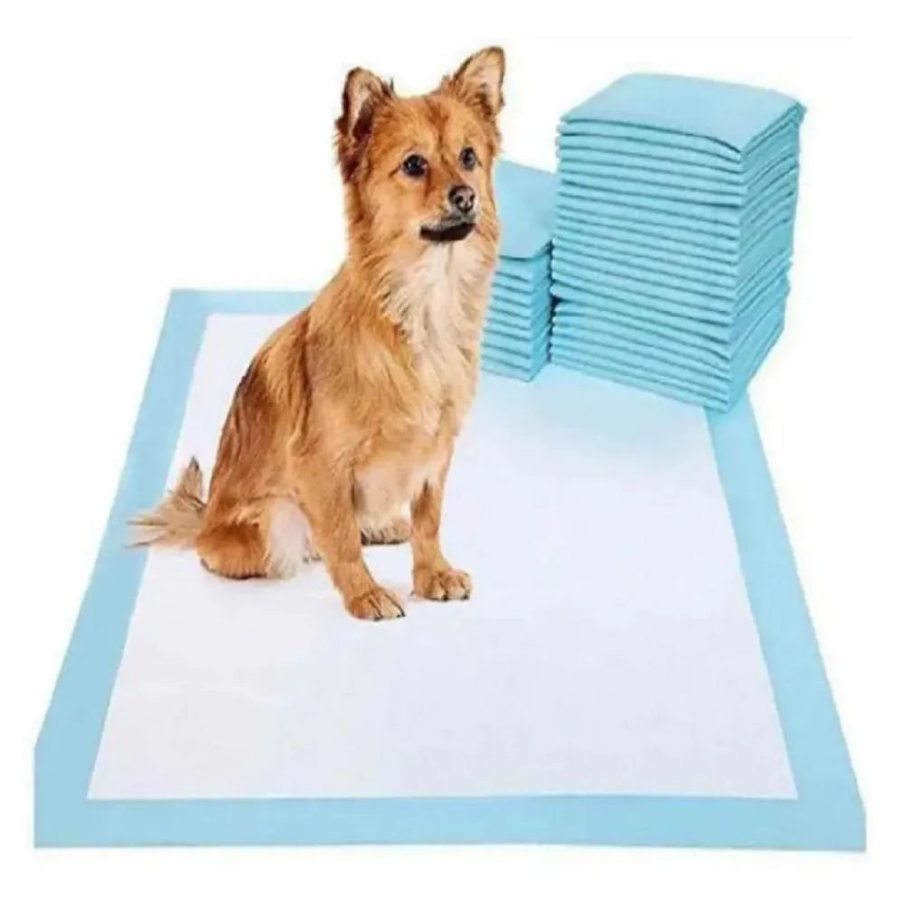 Tapete Entrenador para Perro – Absorbente, Higiénico y Antifugas
